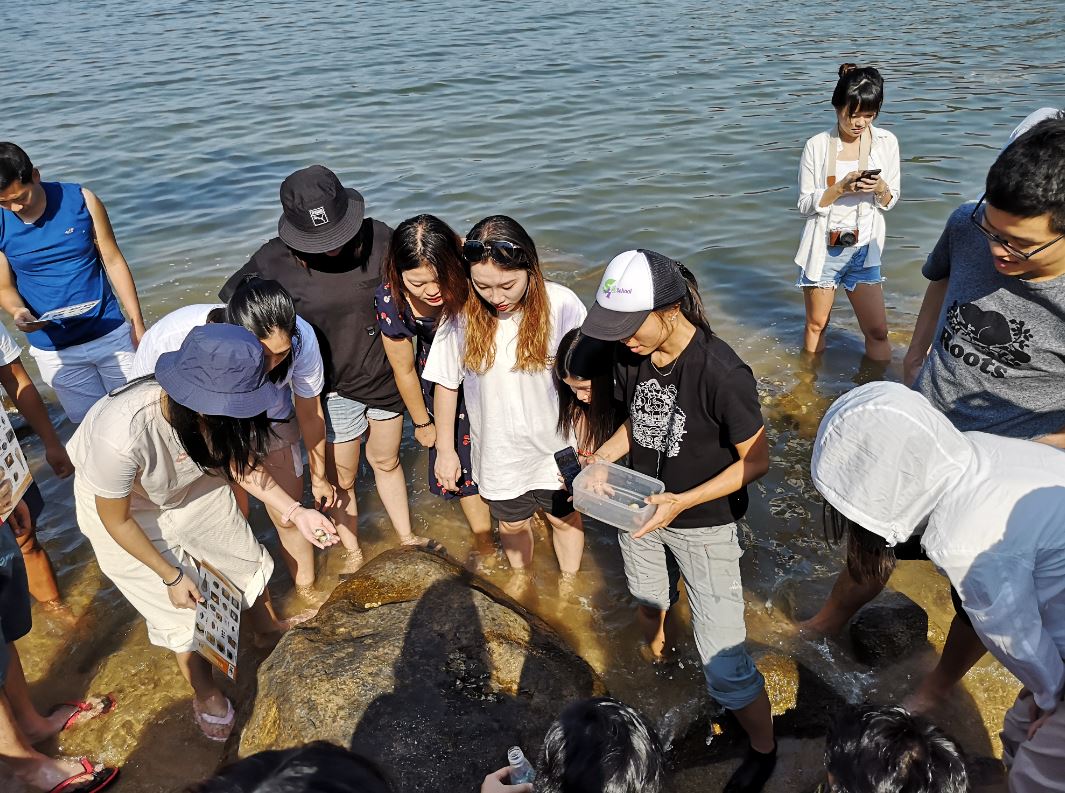 25 Oct 2019 - Field trip to Hoi Ha Wan