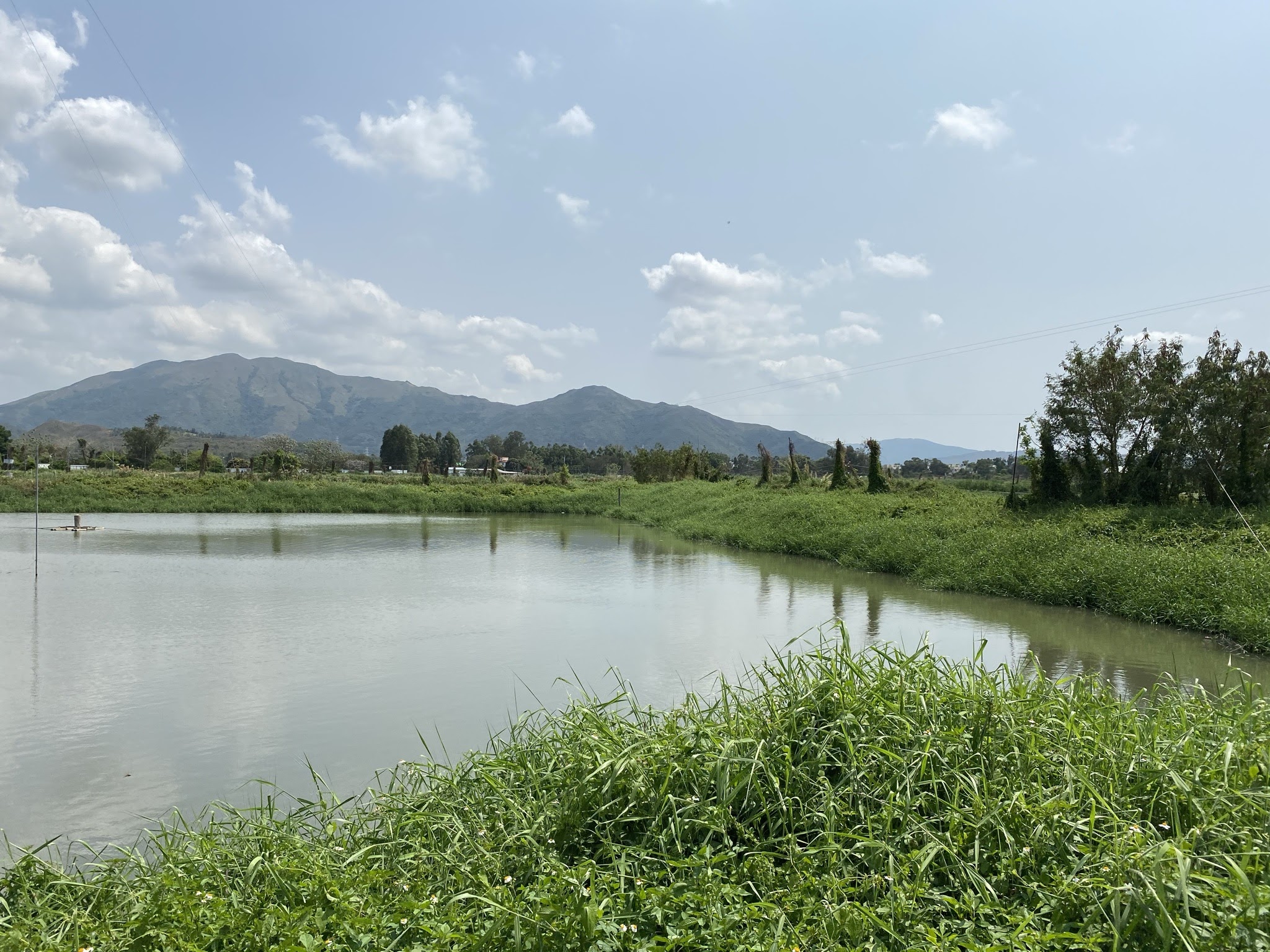 Field Trip to Mai Po Nature Reserve