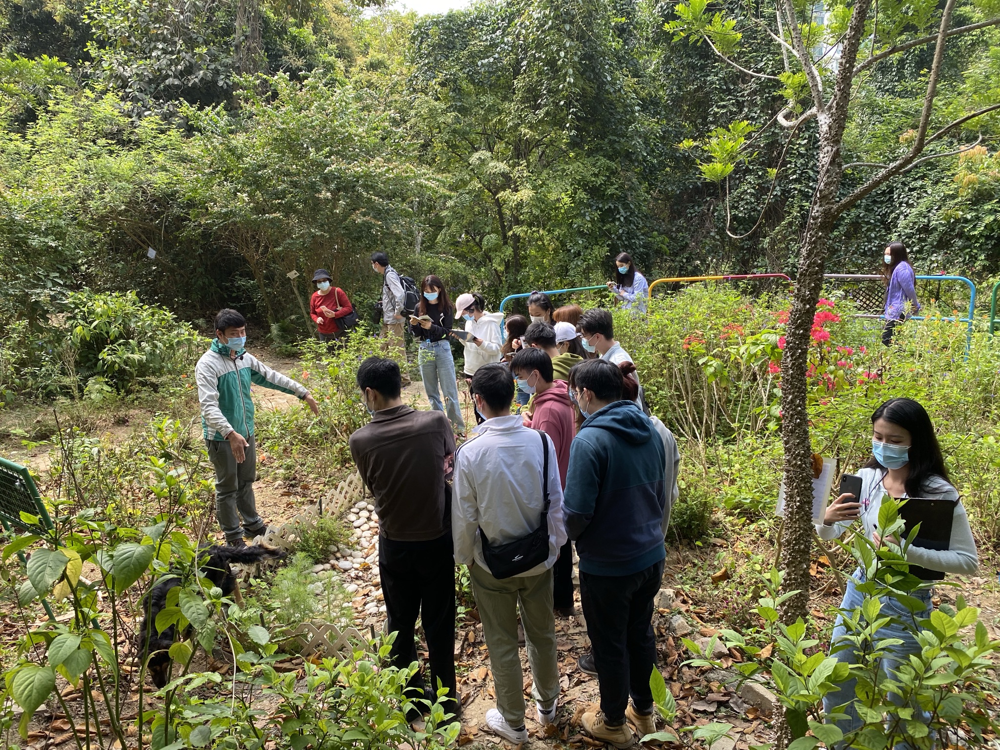 Field Trip to Fung Yuen Butterfly Reserve