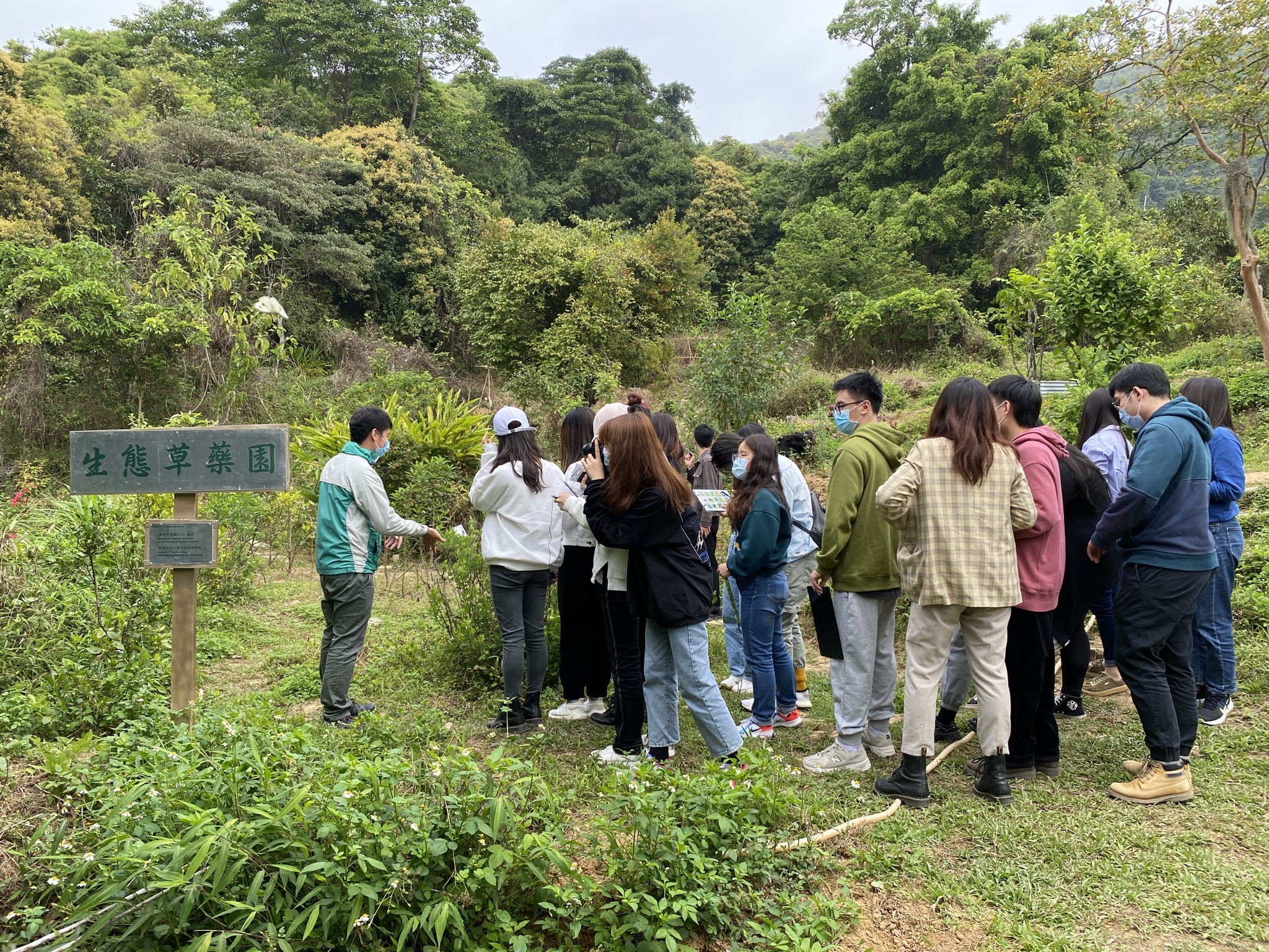 Field Trip to Fung Yuen Butterfly Reserve