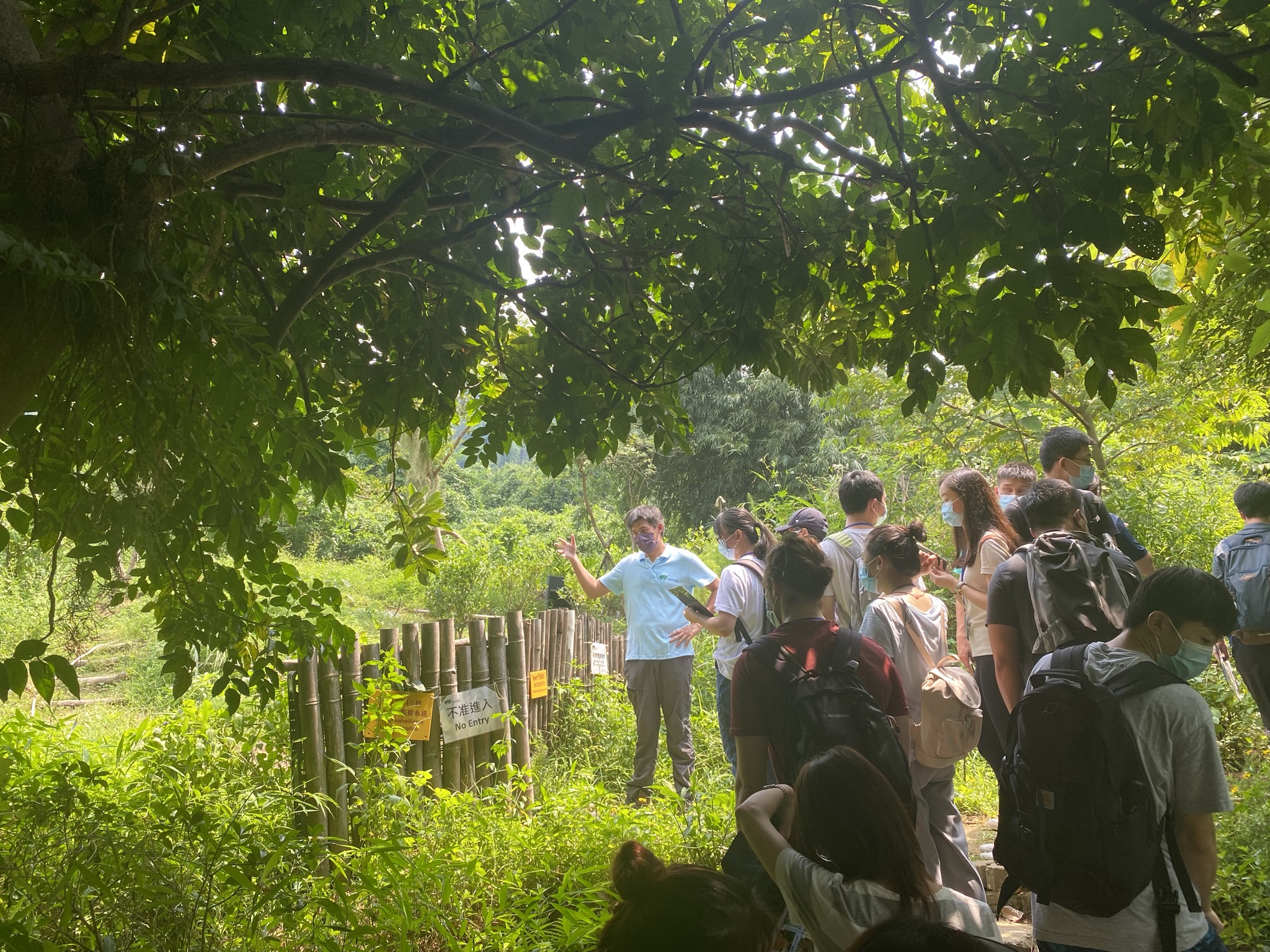 Field Trip to Fung Yuen Butterfly Reserve