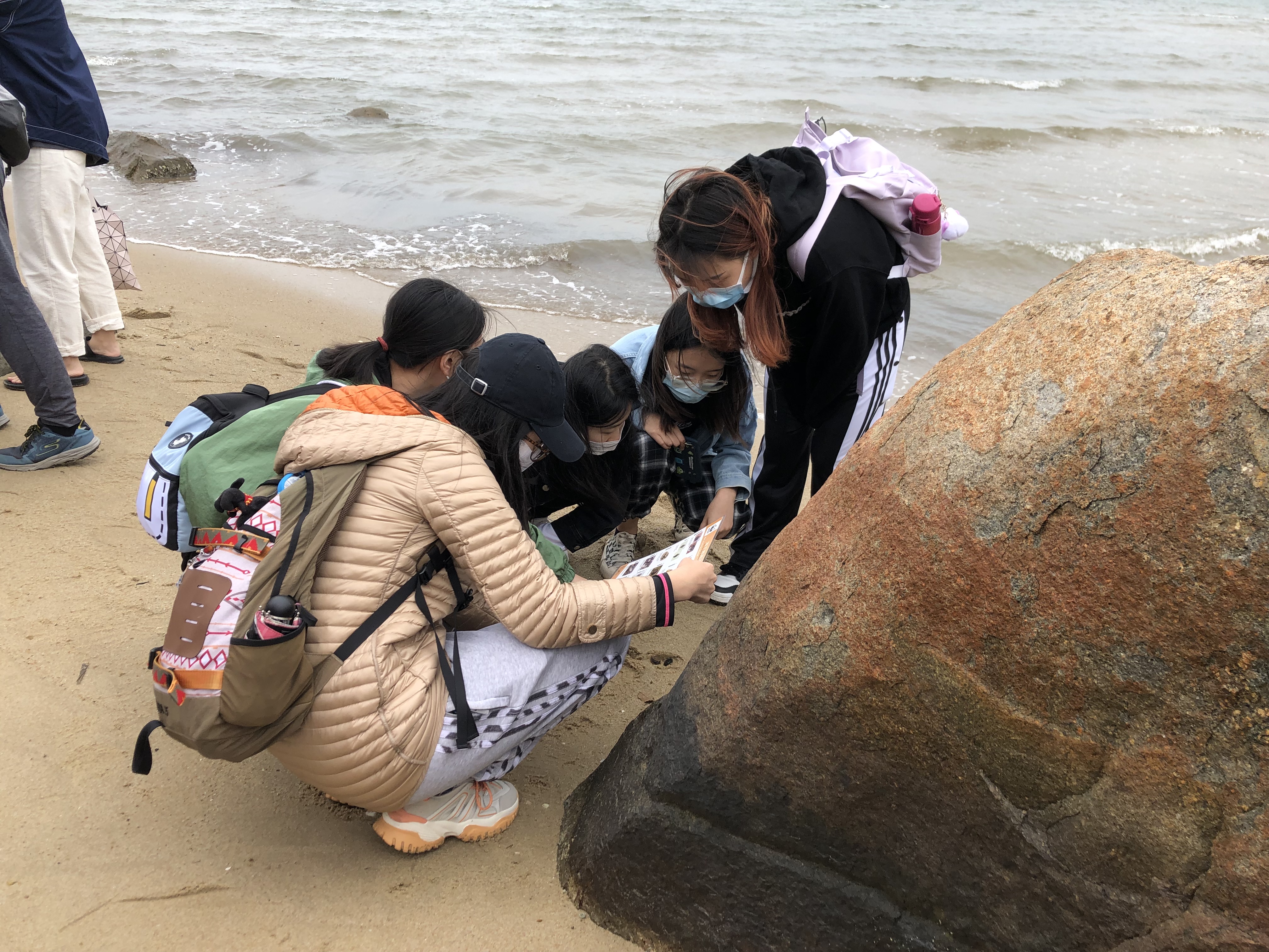 Program Field Trip to Hoi Ha Wan