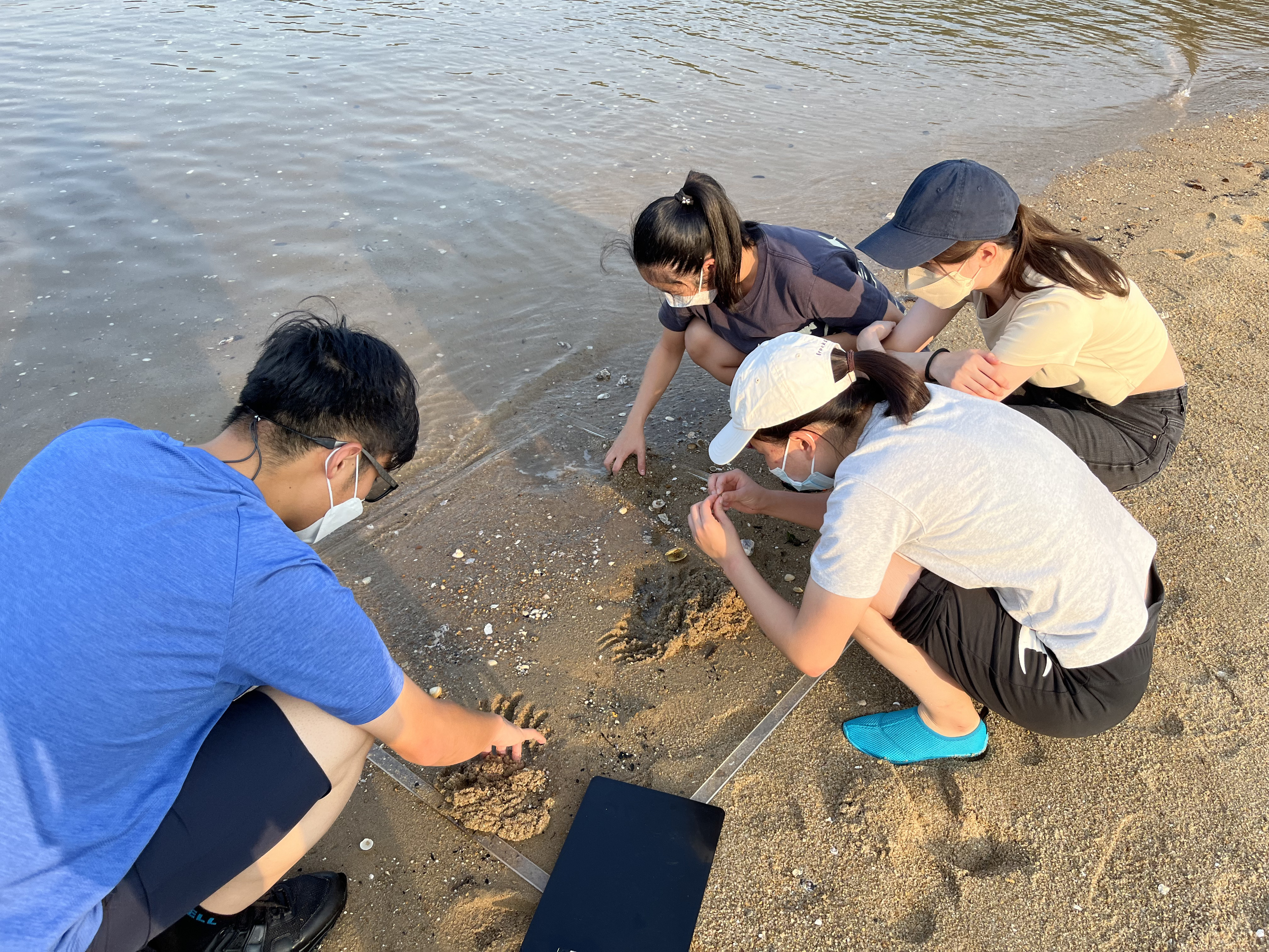 field trip to Hoi Ha Wan