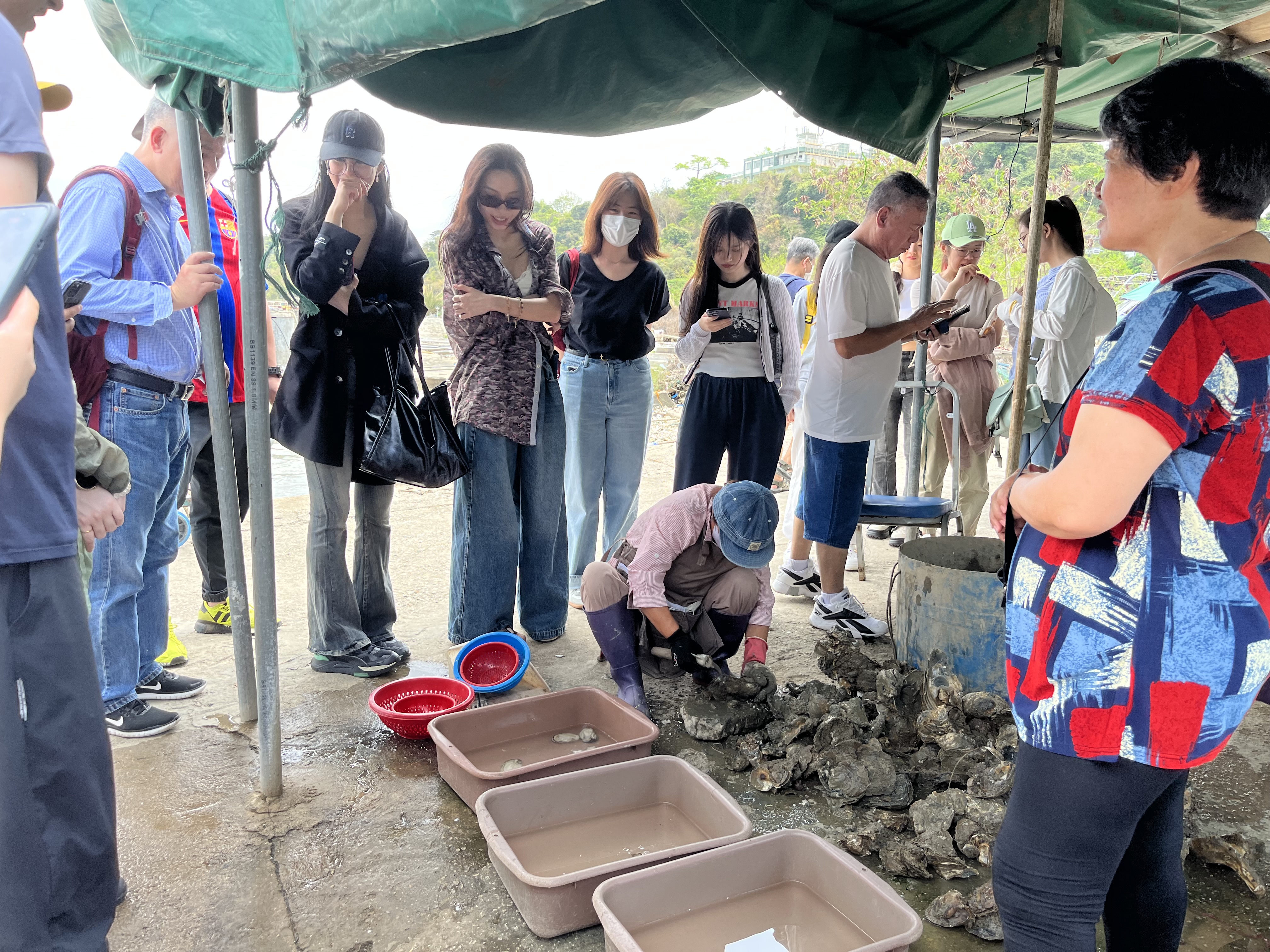 Oyster Farm